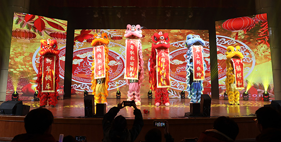 金狮贺岁 (2).jpg